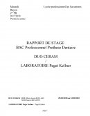 Rapport de stage laboratoire