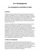 Les champignons comestibles et utiles