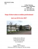 Stage d'observation en milieu professionnel