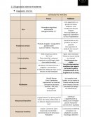 Analyse interne et externe de l'Entreprise PAUL