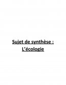 Sujet de synthèse sur l'écologie