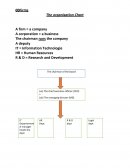 The organisation Chart