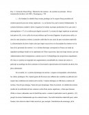 Doc. 3. Extrait de Pascal Puig / Hiérarchie des normes : du système au principe - Revue trimestrielle de droit civil 2001, Chroniques p. 749