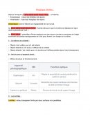 Fiche de Revision Bac ES l'oeil