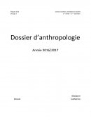 Dossier anthropologique