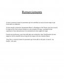 Rapport de stage terminal STAV