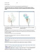 TP sur la comparaison des chaines de recepteurs T