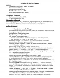 les gommes robbe grillet