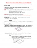 Fiche révision SVT 1ère S - Reproduction conforme de la cellule