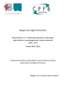 Rapport de stage éducateur spécialisé