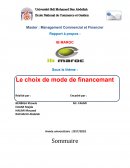 Rapport sur IB Maroc