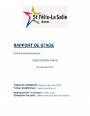 Rapport de stage Cabinet de podologie-pédicurie