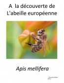 A la découverte de l'abeille européenne