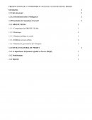 Rapport de stage TELMA