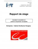 Rapport de stage DUT GEA en cabinet comptable