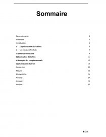 Rapport De Stage Dut Gea En Cabinet Comptable Rapport De