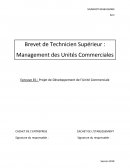 Cours de management BTS AG