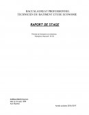 Rapport de stage, buirequ d'ingénierie générale