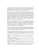 Organisation scientifique de Taylor SEMCO
