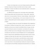 Biodiversité et énergie verte