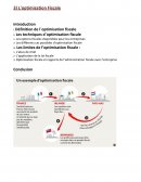 TPE Optimisation fiscale