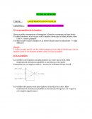 FICHE LA REPRESENTATION VISUELLE 1ERE ES