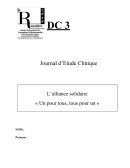 DC3 DEES Journal d'étude clinique