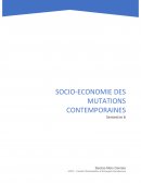 Socio-économie des mutations contemporaines