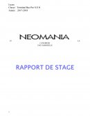 RAPPORT DE STAGE TESELEC