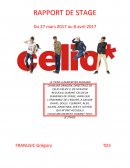 Rapport de stage Celio