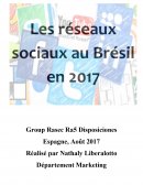 Réseaux Sociaux au Brésil