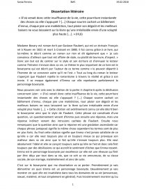 Dissertation Litteraire Madame Bovary Dissertation Sonia2300