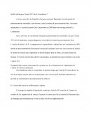 Dissertation sur l'article 49.3