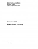 Digital Customer Services