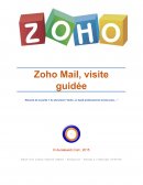 Zoho, un SaaS professionnel et bien plus...