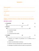Rapport cabinet consulting