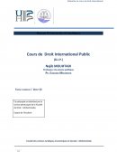 Cours de Droit International Public