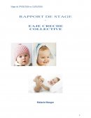 Rapport de stage crèche