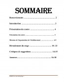 Rapport de stage CSU-COM PANGOLIN
