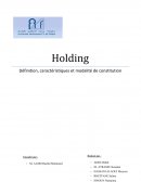 Holding, Définition, caractéristiques et modalité de constitution