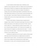 Montrez qu’Amélie Nothomb, dans Stupeur et tremblement, tourne en dérision non seulement le monde du travail japonais, mais toute la culture nippone.