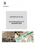 Rapport de stage bac pro eleec 1ere