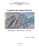 Gestion des risques financiers