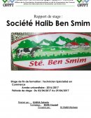 Rapport de stage halib ben smim