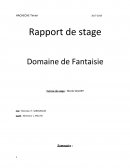 Rapport de stage Educateur spécialisé