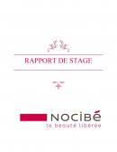 Rapport de stage Nocibé