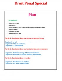 Droit Penal Special Dissertation Buleeeef