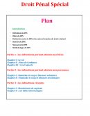 Droit Pénal Spécial