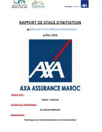 TÉLÉCHARGER RAPPORT DE STAGE SAHAM ASSURANCE STAGE TÉLÉCHARGER ASSURANCE SAHAM DE RAPPORT