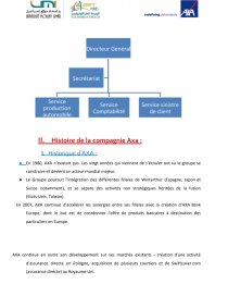 TÉLÉCHARGER RAPPORT DE STAGE SAHAM ASSURANCE